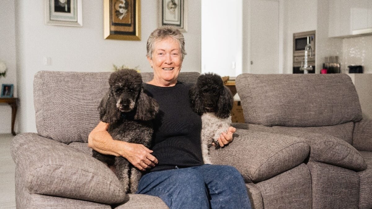 Poodles give oodles of love in retirement